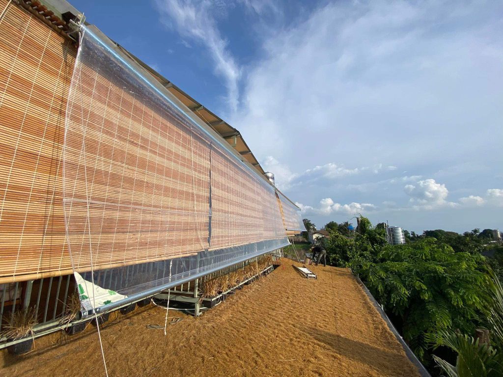 Bạt nhựa PVC trong suốt che nắng mưa nhà xưởng