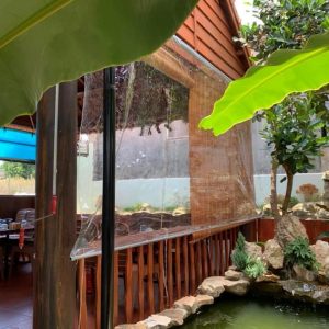 Bạt nhựa PVC trong suốt che nắng mưa