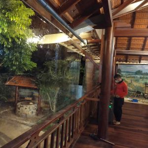 Bạt nhựa PVC trong suốt che nắng mưa