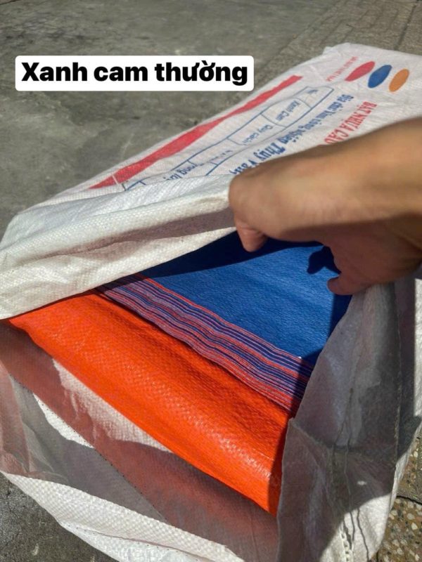 Bạt xanh cam thường