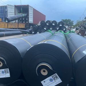 Bạt HDPE lót hồ sen, hồ súng