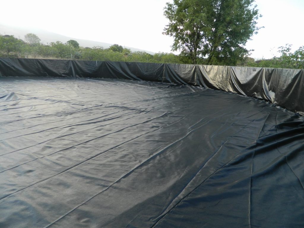 Bể bạt HDPE nuôi cá lươn, ốc, ếch Bể bạt HDPE nuôi cá lươn, ốc, ếch