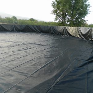 Bể bạt HDPE nuôi cá lươn, ốc, ếch