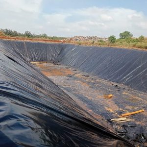 Bạt HDPE dày 0,5mm lót hồ nuôi cá