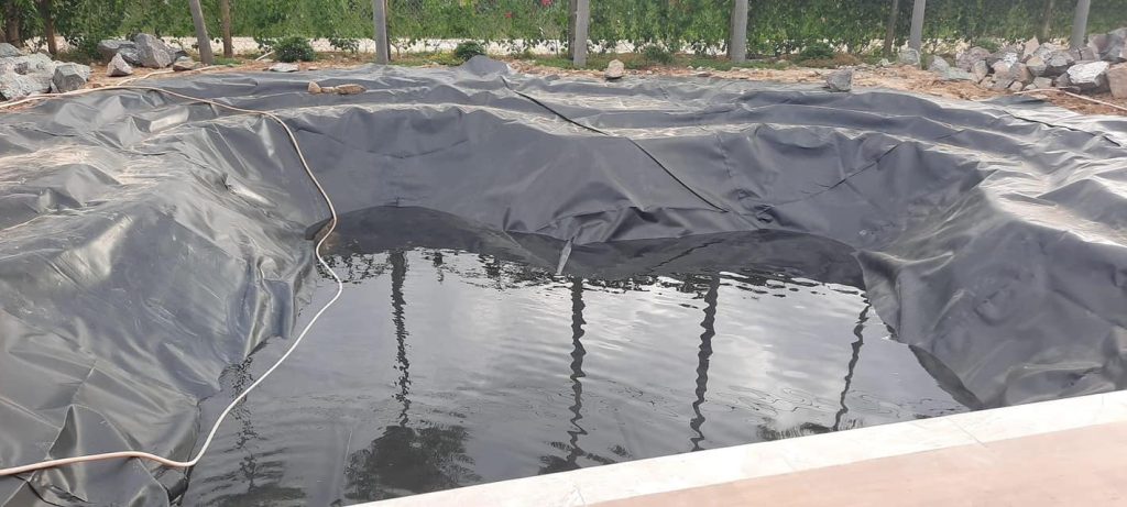 Bạt HDPE dày 0,5mm lót hồ nuôi cá