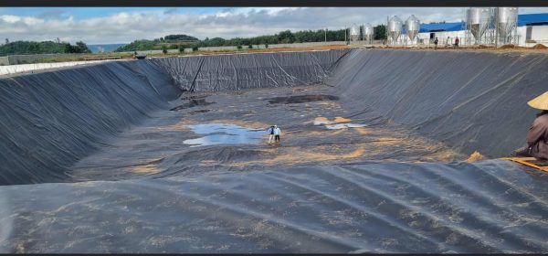 Bạt hdpe 0,75(mm) lót ao hồ nuôi tôm cá
