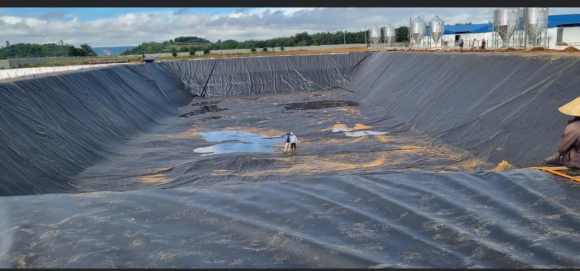 thi công bạt HDPE lót hồ tôm