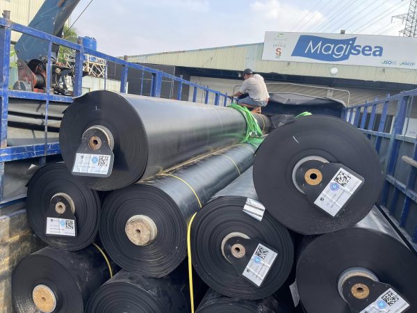 Màng (bạt) chống thấm HDPE lót ao hồ nuôi tôm