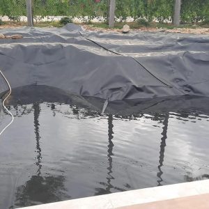 Lót hồ chứa nước bạt HDPE 0,3mm
