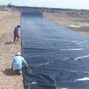 Thi công trải bạt HDPE lót ao hò nuôi tôm