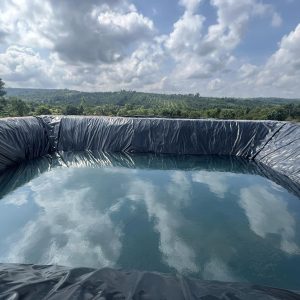 Bạt lót ao hồ nuôi cá HDPE