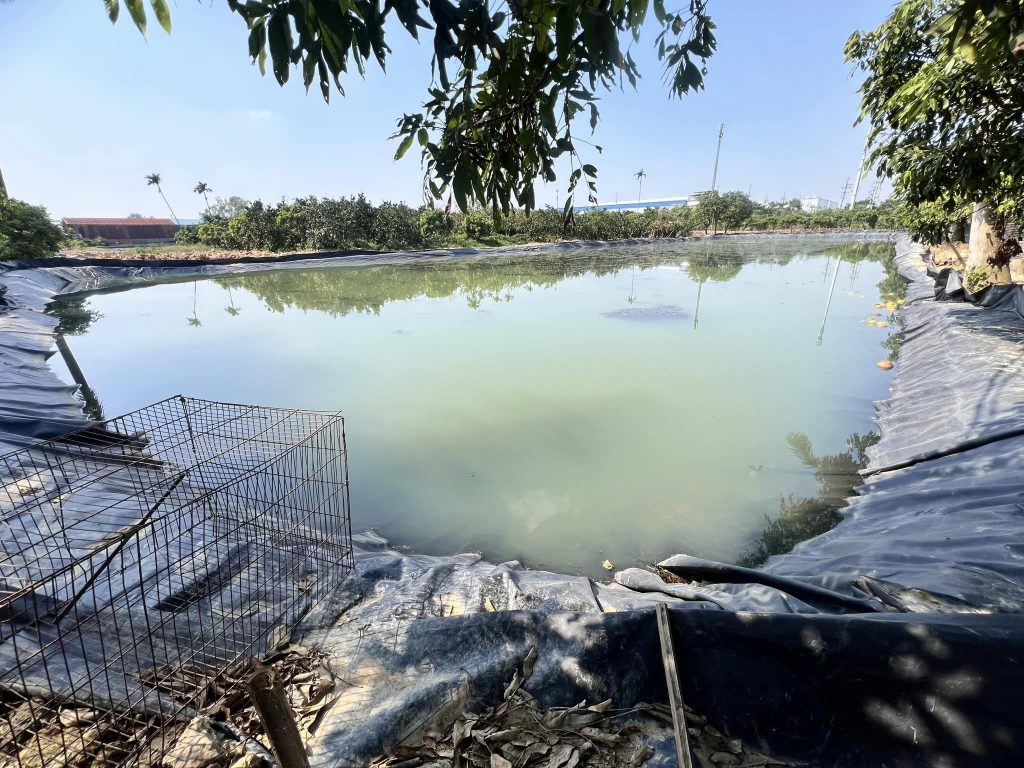 Bạt nhựa HDPE lót hồ cá Koi
