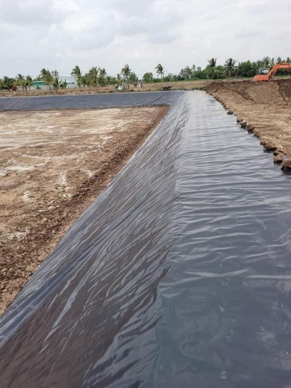 Bạt lót bờ ao mương kè dẫn nước HDPE