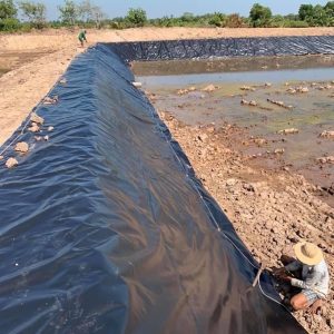 Bạt lót bờ ao mương kè dẫn nước HDPE