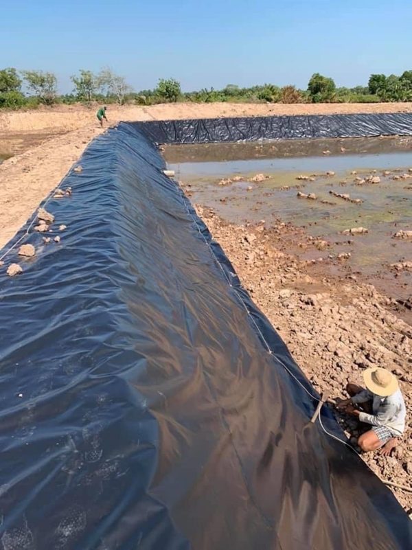 Bạt lót bờ ao mương kè dẫn nước HDPE
