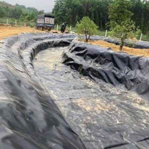 Bạt lót bờ ao mương kè dẫn nước HDPE