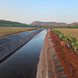 Bạt lót bờ ao mương kè dẫn nước HDPE
