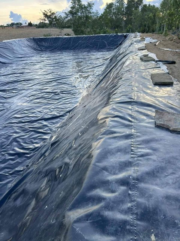 Bạt lót bờ ao mương kè dẫn nước HDPE