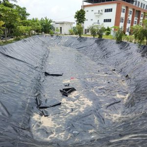 Bạt lót bờ ao mương kè dẫn nước HDPE