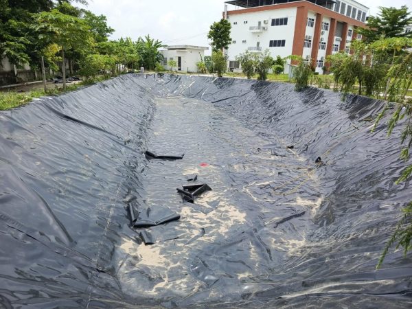 Bạt lót bờ ao mương kè dẫn nước HDPE