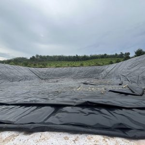 Bạt lót bờ ao mương kè dẫn nước HDPE