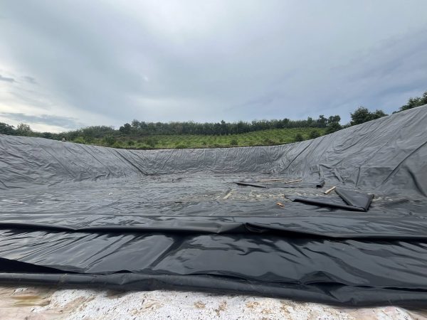 Bạt lót bờ ao mương kè dẫn nước HDPE