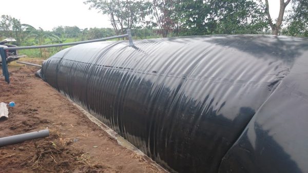 Túi biogas HDPE