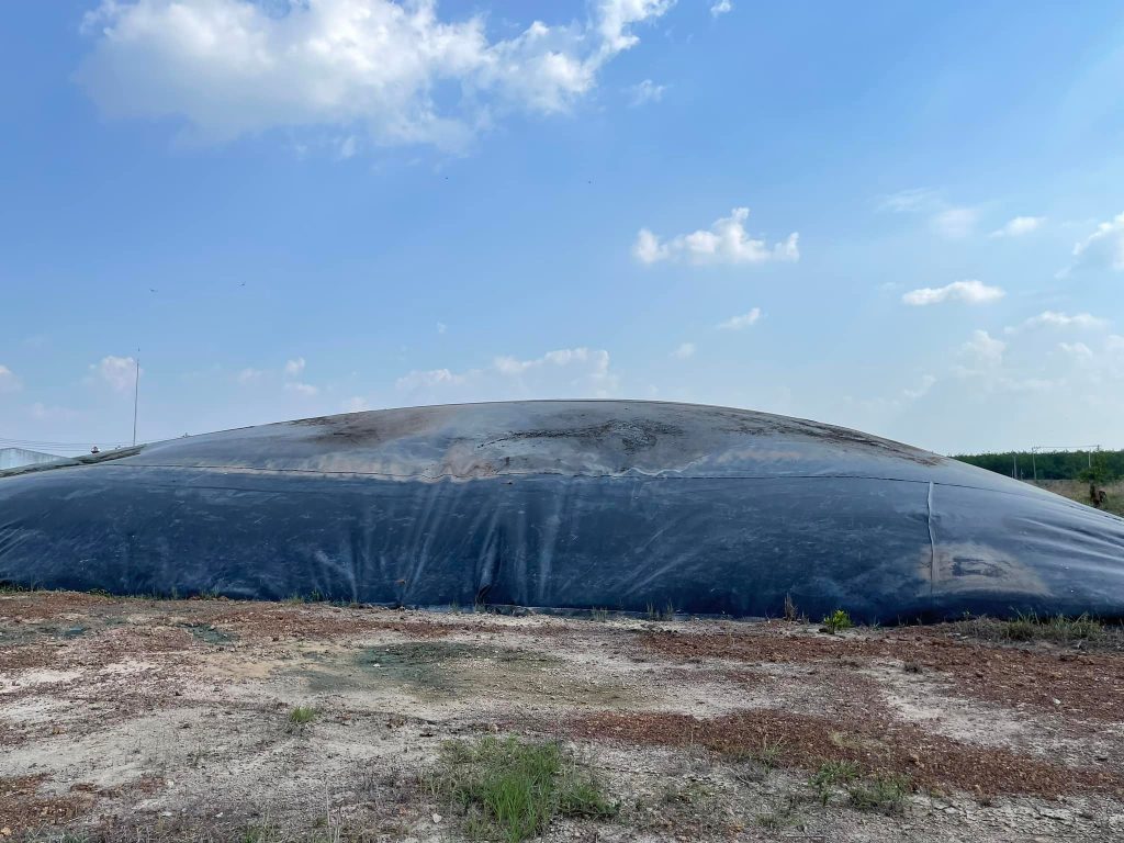 Bạt biogas HDPE, Hầm biogas HDPE, Giá bạt nhựa HDPE lót hầm Biogas Bạt biogas HDPE, Hầm biogas HDPE, Giá bạt nhựa HDPE lót hầm Biogas