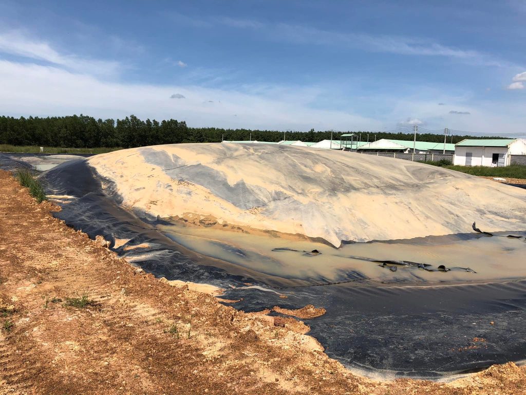 bạt nhựa HDPE lót hầm Biogas Bạt nhựa HDPE lót hầm Biogas