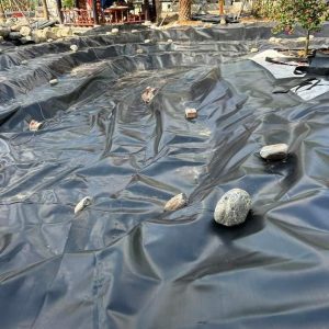 Bạt nhựa HDPE lót hồ cá Koi