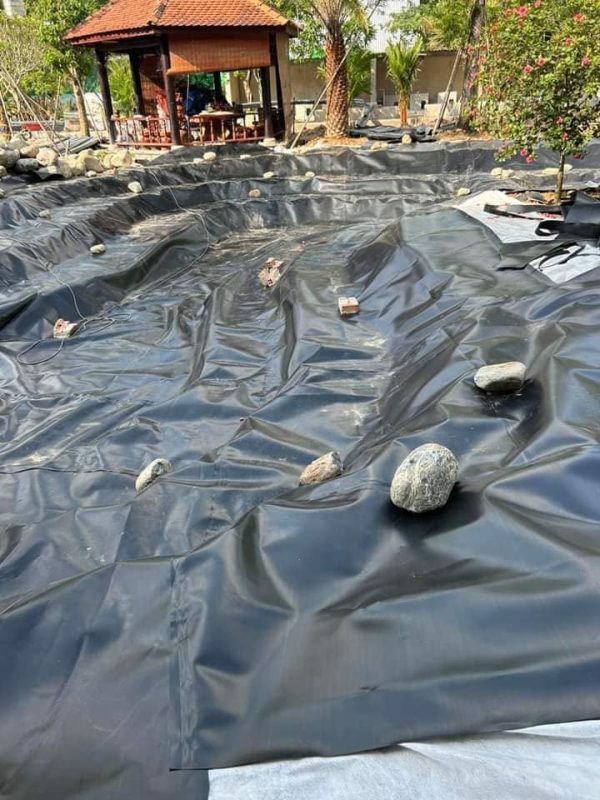 Bạt nhựa HDPE lót hồ cá Koi