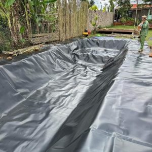 Bạt lót hồ cá Koi HDPE