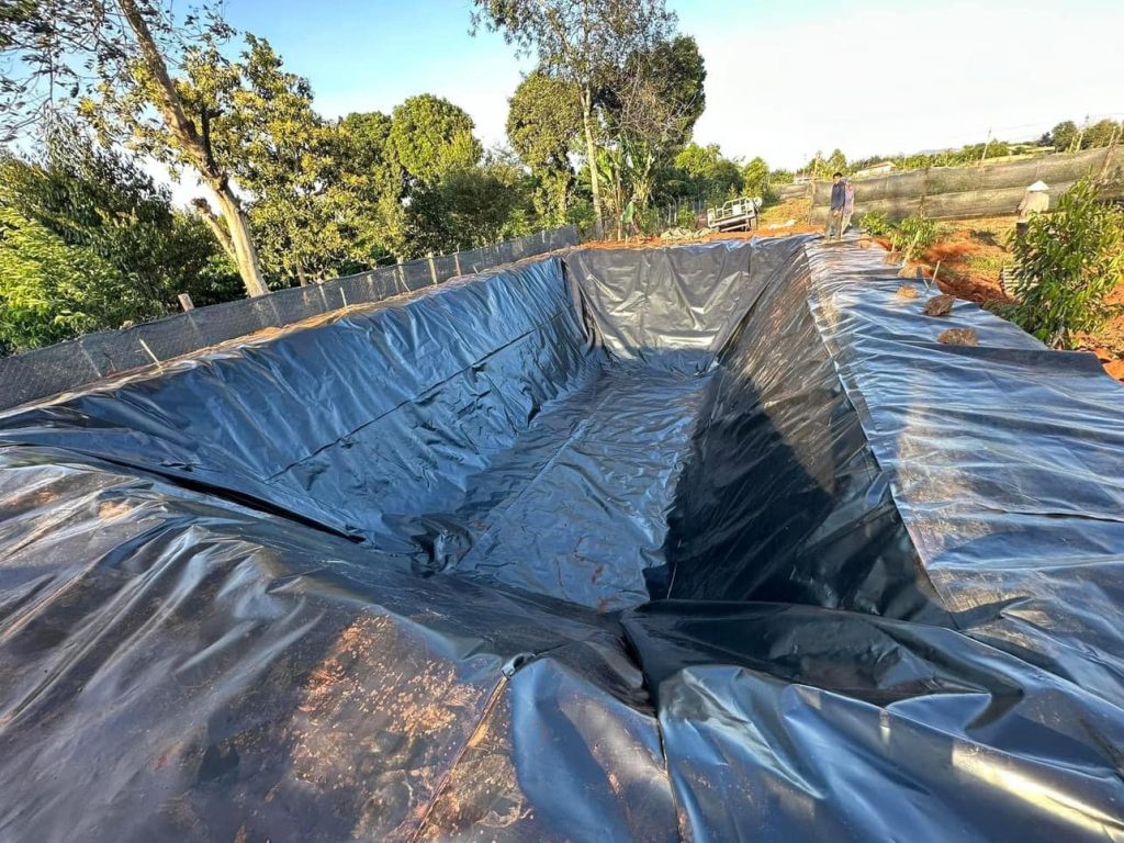 Bạt lót hồ cá Koi HDPE