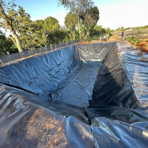 Bạt lót hồ cá Koi HDPE