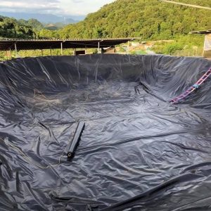 Bạt lót hồ cá Koi HDPE