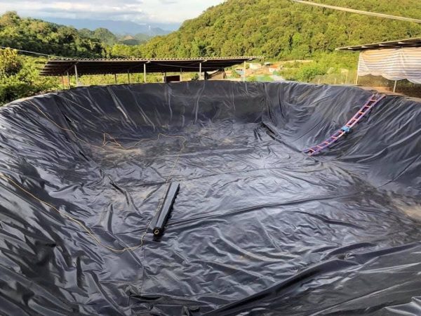 Bạt lót hồ cá Koi HDPE