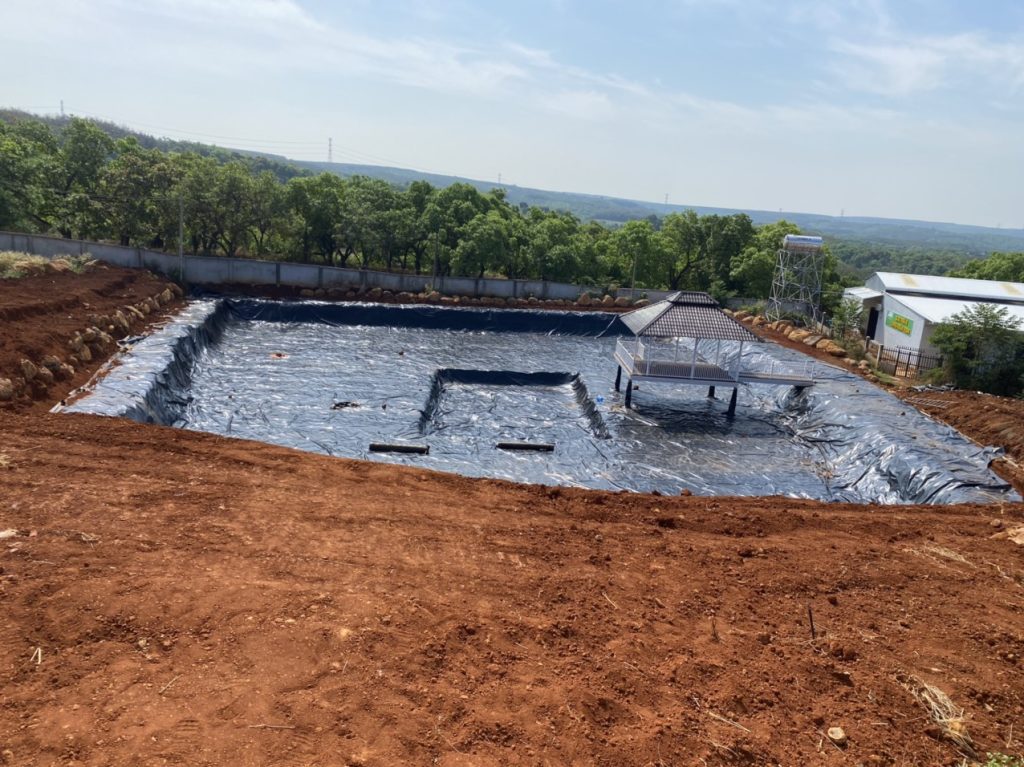Bạt lót hồ cá Koi HDPE