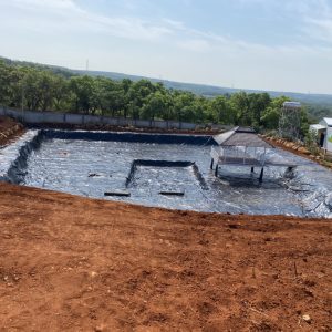 Bạt lót hồ cá Koi HDPE
