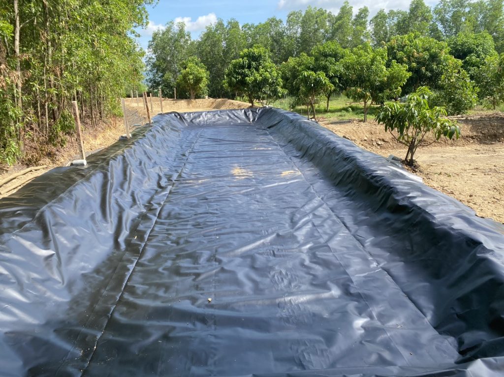 Bạt lót hồ cá Koi HDPE