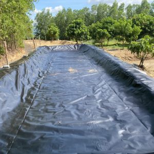 Bạt lót hồ cá Koi HDPE