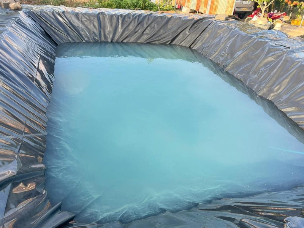 Bạt nhựa HDPE lót hồ cá Koi