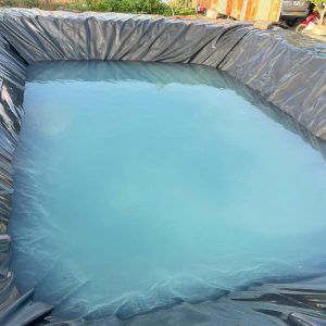 Bạt nhựa HDPE lót hồ cá Koi