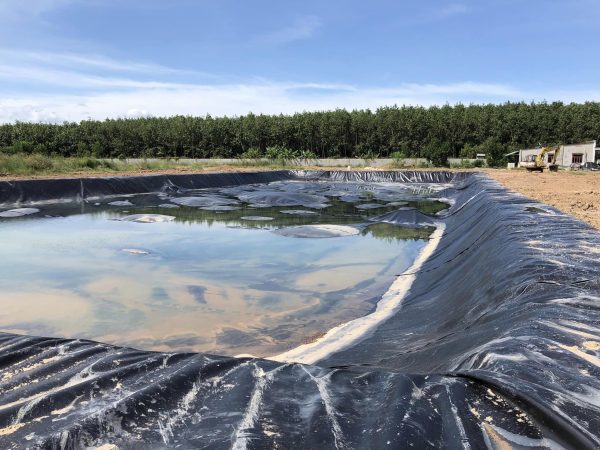 Bạt lót ao hồ nuôi cá HDPE