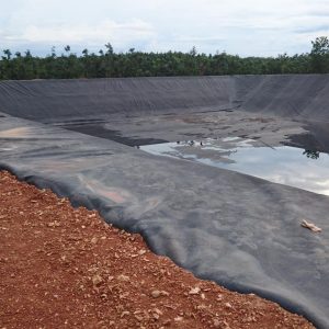 Bạt lót ao hồ nuôi cá HDPE