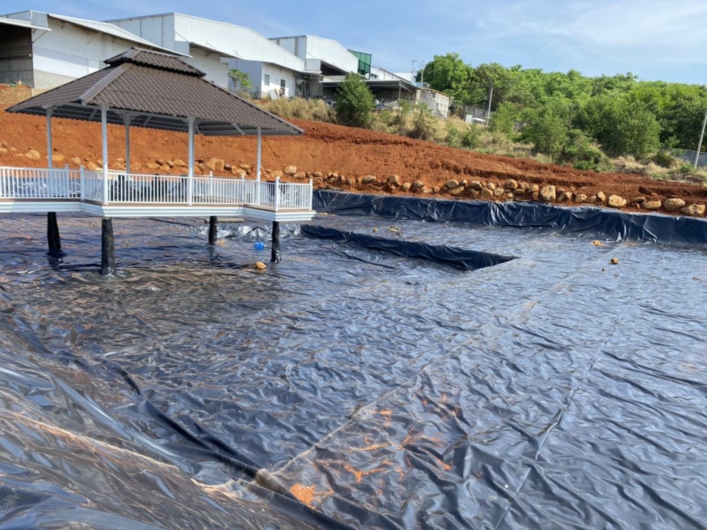 Lót hồ cá Koi màng HDPE