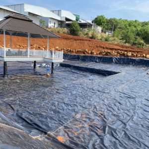 Llót hồ cá Koi màng HDPE