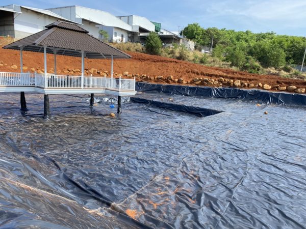 Llót hồ cá Koi màng HDPE