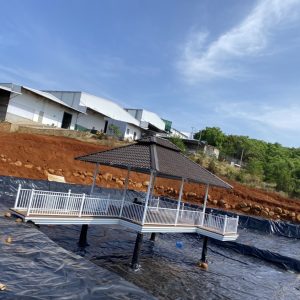 Bạt nhựa HDPE lót hồ cá Koi