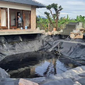 Bạt lót hồ cá Koi HDPE