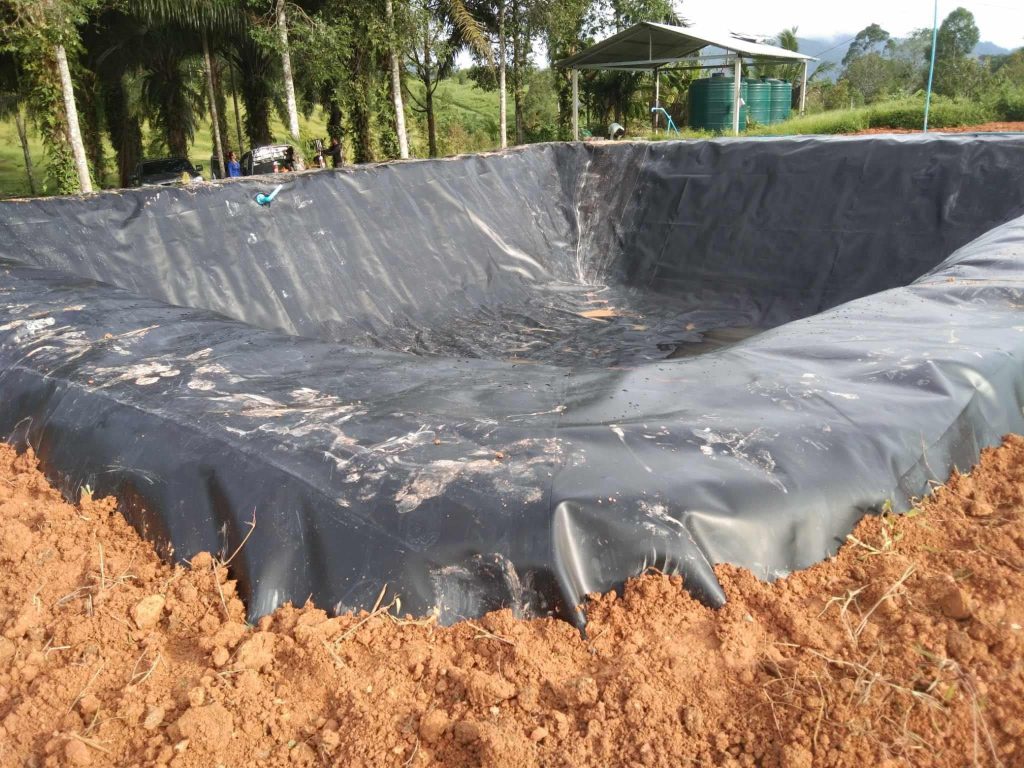 Bạt lót hồ cá Koi HDPE Bạt lót hồ cá Koi HDPE